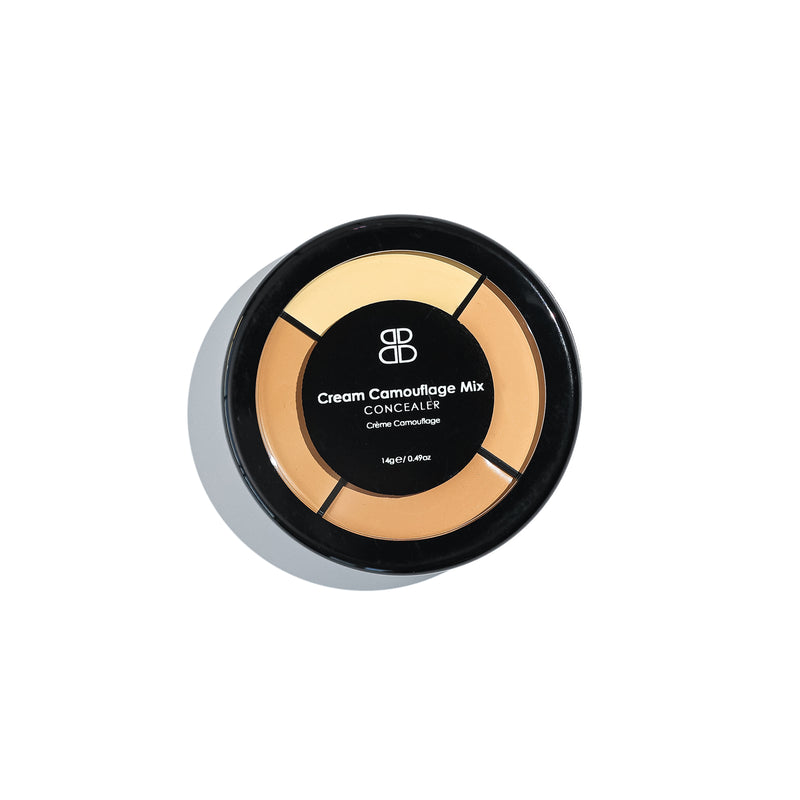 Cream Camouflage Concealer Wheel | Beautiful Brows and Lashes
