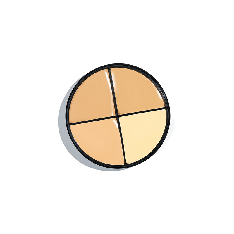 Cream Camouflage Concealer Wheel | Beautiful Brows and Lashes