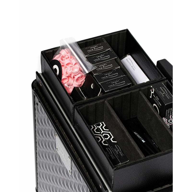 Platinum Professional Kit- Beautiful Brows and Lashes Professional