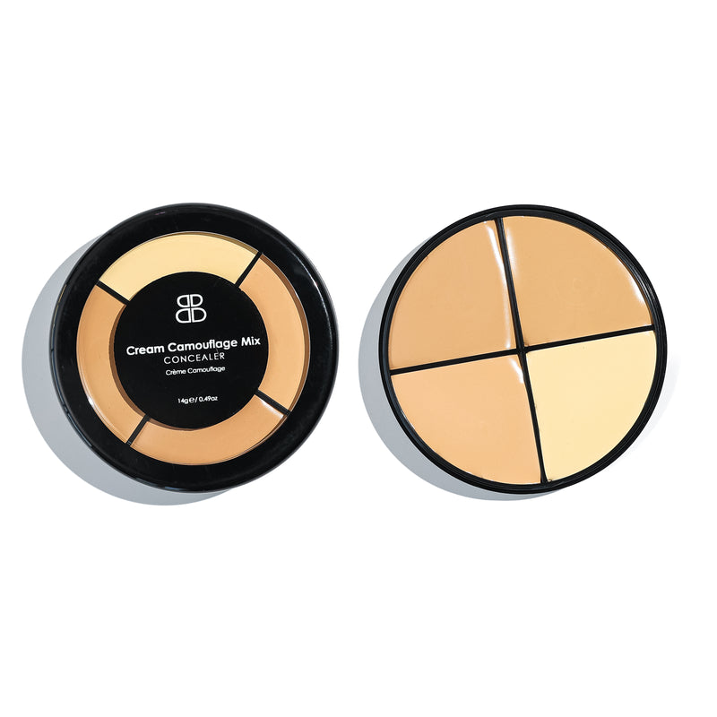 Cream Camouflage Concealer Wheel | Beautiful Brows and Lashes