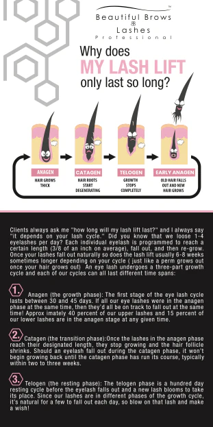 Lash Lift Duration Informational Flyers - Beautiful Brows & Lashes Professional
